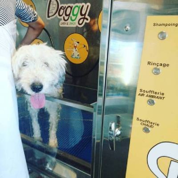 Doggy wash&snack Les Acacias
